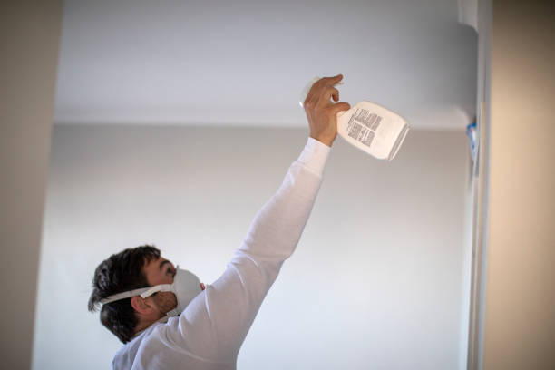 Best Home Mold Removal  in Coushatta, LA