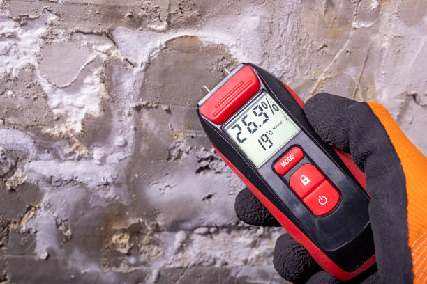 Best Mold Remediation Services  in Coushatta, LA
