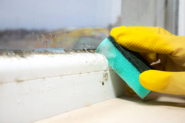Best Water Damage Restoration  in Coushatta, LA