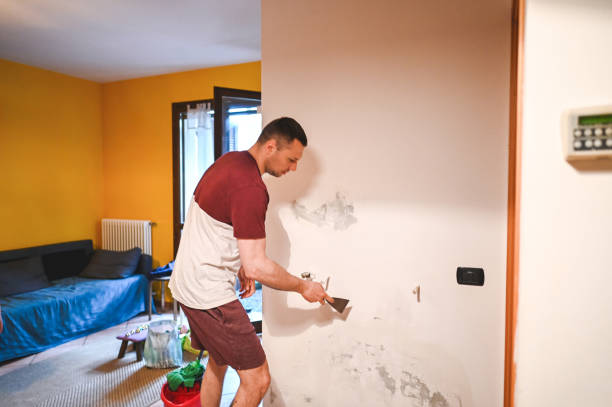 Best Certified Mold Removal  in Coushatta, LA