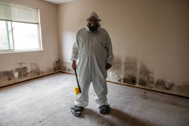 Best Commercial Mold Removal  in Coushatta, LA